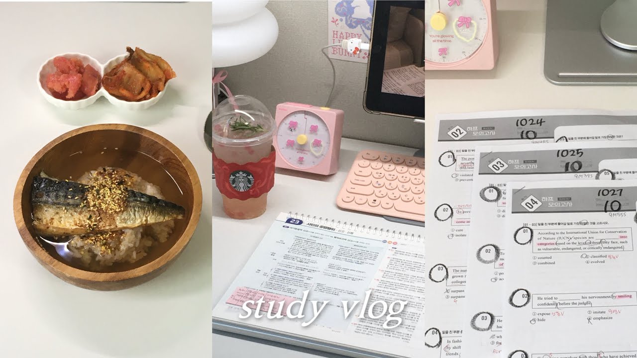 공시생 브이로그ㅣ하프 10점의 축복이 끝이 없네..🖤ㅣ고등어 오차즈케ㅣ양참덮ㅣ파파스탠드ㅣ오그래몰ㅣ재시생 기록ㅣ공부 브이로그ㅣstudy with me