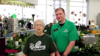 Hy-Vee Algona Spring Greenhouse