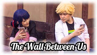 Miraculous Ladybug || CMV || The Wall Between Us (main cmv link below)​