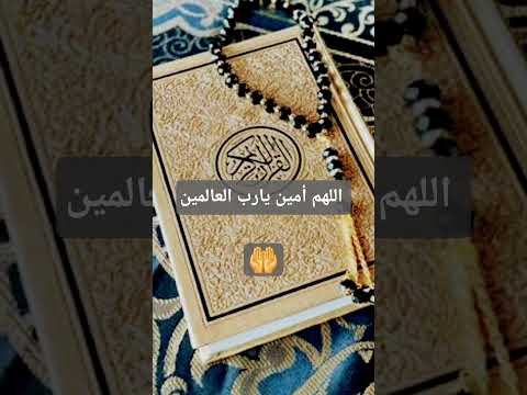 ٨ سبتمبر ٢٠٢٥