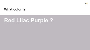 Red Lilac Purple color #bfbac0 hex color - Grey color - Cool color bfbac0