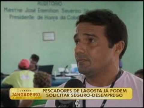 Pescador de lagosta pode pedir seguro-desempreg...