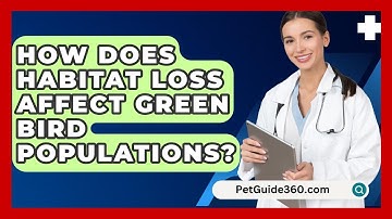 How Does Habitat Loss Affect Green Bird Populations? - PetGuide360.com