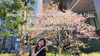 Day 13 Sakura early blooming in Tokyo | Shopping trip from Singapore to Hokkaido & Tokyo