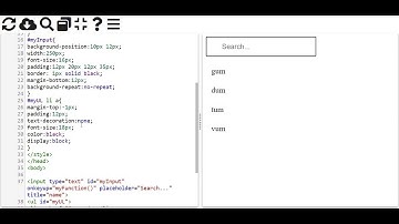 Search Filter in HTML CSS And pure Javascript