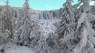 Escape into Winter Bliss | 4K Arctic Landscapes with Deep House Relaxing Music | ALPHA WAVE