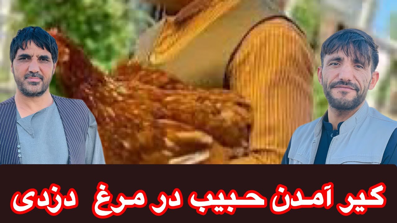 راه جوری حبیب - بالای بچه ها کاکا تور - کاکا تور هم بد رقم لت داد بچه هایش را