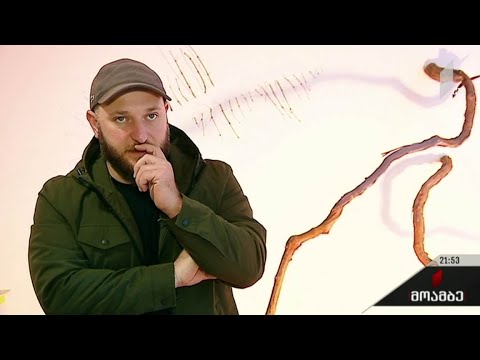 „ფუტკრის დაცემა“ მონპელიეს ფესტივალზე