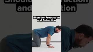 Quadruped Shoulder Protraction And Retraction