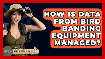 How Is Data From Bird Banding Equipment Managed? - Bird Watching Diaries