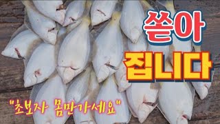 선상 도다리낚시 쏟아집니다 | 채비/운영방법은 영상에 | 포항[3/11일 제우스호 조황]