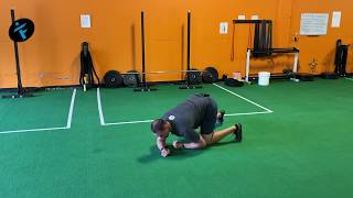 FITSA Be a Crouching Tiger and Attack Your Workout