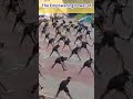 "Guarding Your Dreams" #nda #militarytraining #trending #indianmilitary