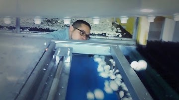 Mushroom picker machine jonh c leo adn son