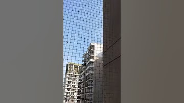 Birds Netting  Balcony in sec - 75 Noida by RAJ GLOBAL SERVICES (9899996984)