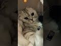 подпишись и увидишь 3 ий смайлик подпишись и увидишь 3 ий смайлик
