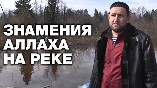 Мусульмане Марий Эл увидели знамения Аллаха на реке