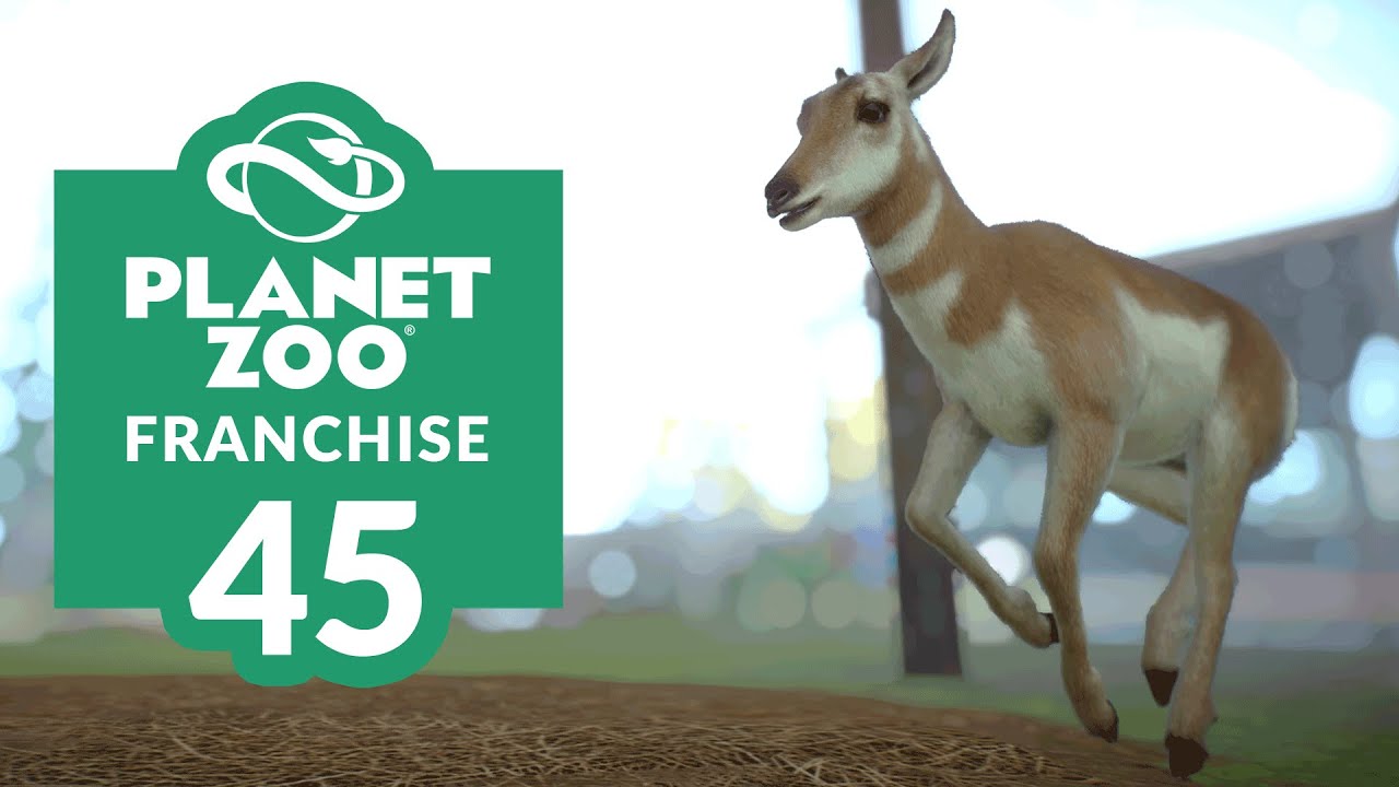 ZOO EP. 45 NOT PLAIN ANYMORE! (Franchise Mode Lets Play