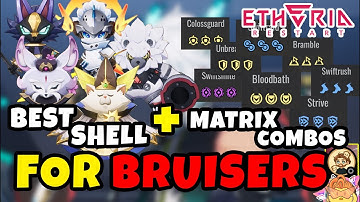 Best Shell & Matrix Combos for BRUISER Units ft. Bread – Tanky AND Dangerous! | Etheria Restart