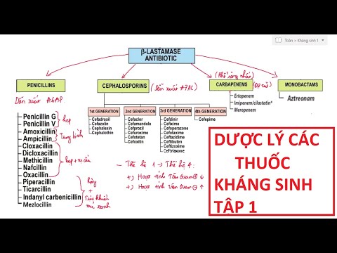 Video Dược Lý Kháng Sinh, Các Thuốc Tác Động Lên Thành Vách... - youtube