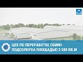 Комплекс по переработке семян подсолнуха г. Богучар