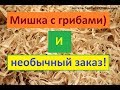 Мишка с грибами и необычный заказ. "Артель братьев Спицыных"