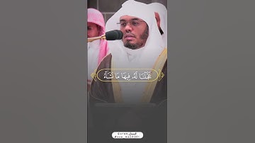 تلاوة خاشعة تلاوة تُلامس القلوب  اكتب شئ تؤجر عليه 🤍🕊 #ياسر_الدوسري #اكسبلور #القرآن_الكريم