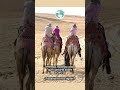 Prepárate para descubrir el auténtico Egipto