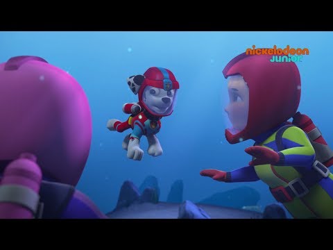 Vidéo: Combien de temps dure Paw Patrol ?