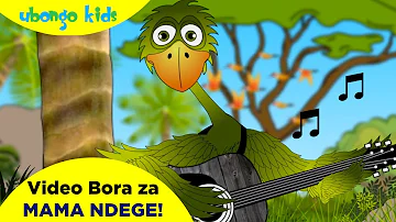 Video Bora za Mama Ndege | Ubongo Kids | Katuni za Elimu kwa Kiswahili