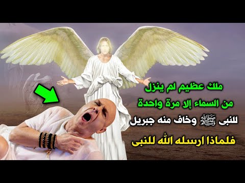 فيديو: كيفية الحفاظ على الثقافة: 12 خطوة (بالصور)