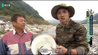 【台中】溪蝦！野魚！蜂巢！獵奇之旅山城處處是驚喜？！【週三 ...