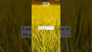 I AM Free