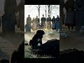 💔 He Waited Beside a Grave… Until Hope Returned 🐶