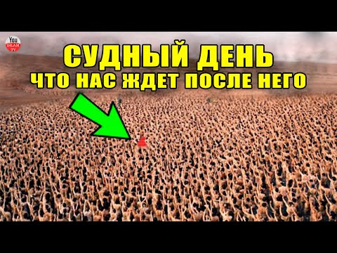 ВСЕ ЧТО НУЖНО