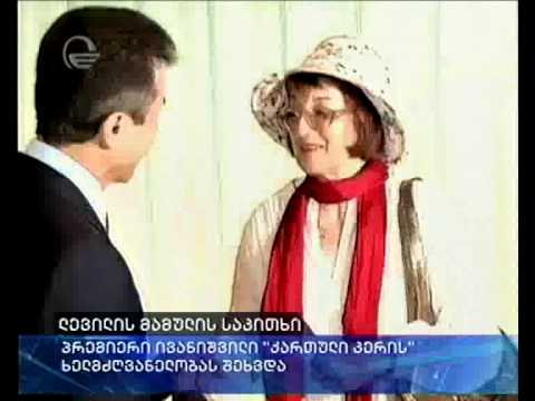 ლევილის მამულის საკითხი