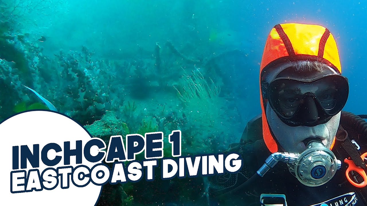 Dubai Scuba Diving | Inchcape 1 Wreck | East Coast Diving Fujairah UAE