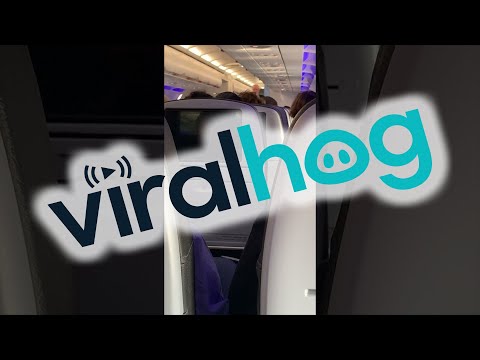 Flight Crew Explain Reasons for Bizarre Passenger's Removal || ViralHog