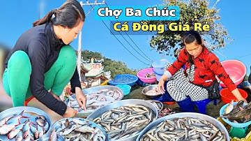 Chợ Ba Chúc Nhộn Nhịp – Cá Đồng Đổ Đống Bán Giá Rẻ, Ai Cũng Mua