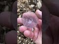 Field Walking Freaks finds the base of a small glass… #vintageglass #history #asmr