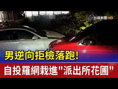 男逆向拒檢落跑! 自投羅網栽進"派出所花圃"