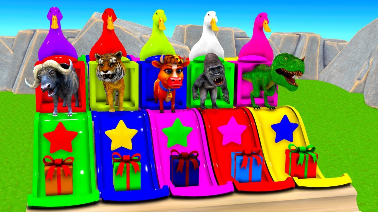 Colorful Animals Slide Surprise 🎁 | Fun 3D Animation Buffalo Tiger Cow Gorilla Dinosaur