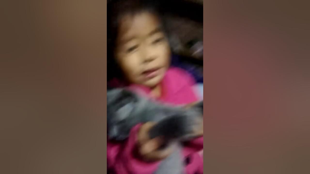 Vanessa zapata con plomito YouTube