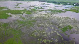 Early farmers achieved engineering wonder by building huge irrigation system | SWNS