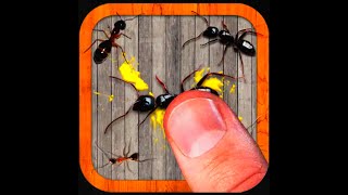 Ant smasher/Ant smasher game/Ant smasher bee ouch/Ant smasher gameplay/Ant smasher game details/Game screenshot 4