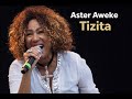 Aster Aweke አስቴር አወቀ ትዝታ Tizta New Cover Music Asteroid Coversong AI Song