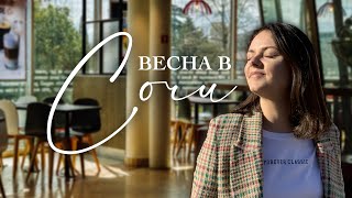 📍 Куда сходить в СОЧИ? Самые вкусные места для завтраков, вечерних посиделок и просто вкусной жизни