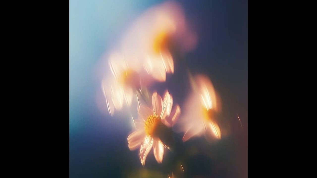 [free] indie pop x bedroom pop type beat - 