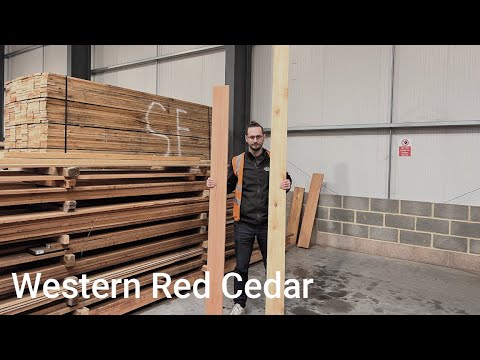 What's the difference between Canadian Cedar and British Cedar?