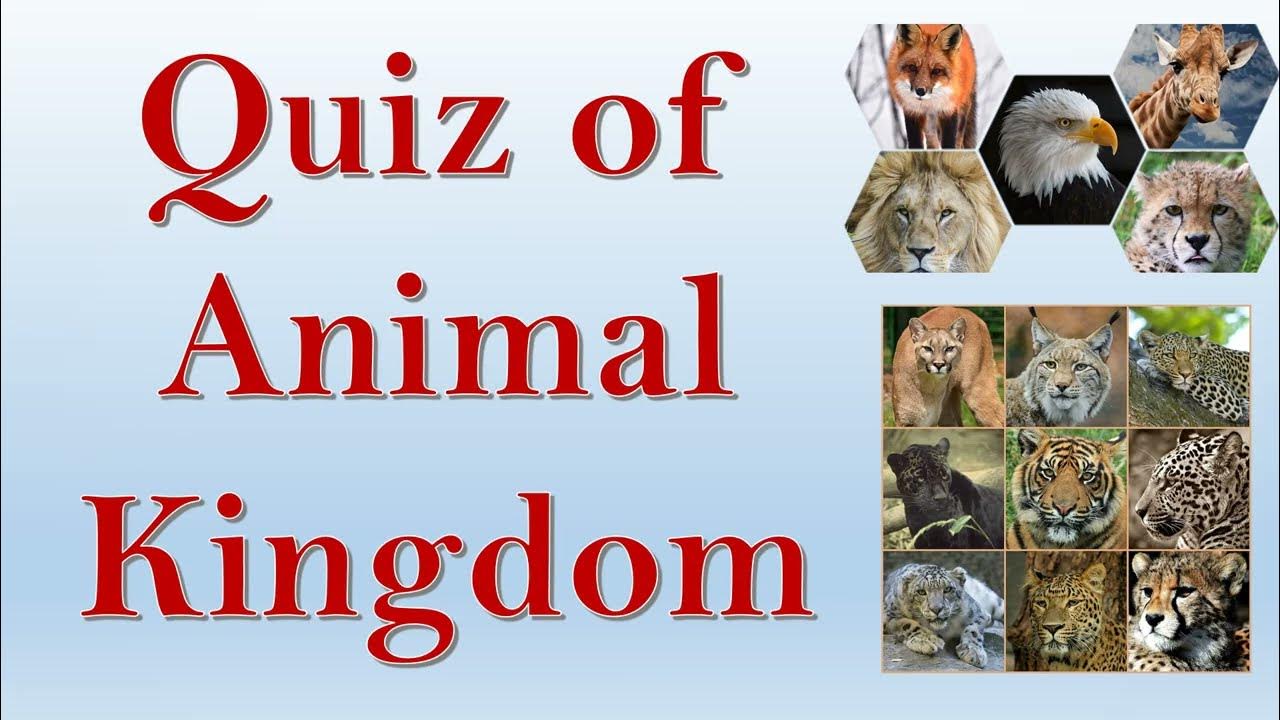 Top 10 questions on Animal Kingdom Quiz of Animal Kingdom